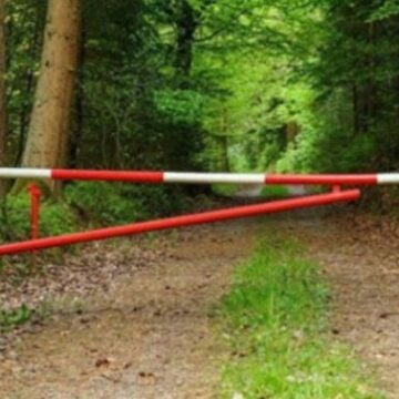 На Івано-Франківщині заборонятимуть в’їзд у ліси у період високої пожежної небезпеки