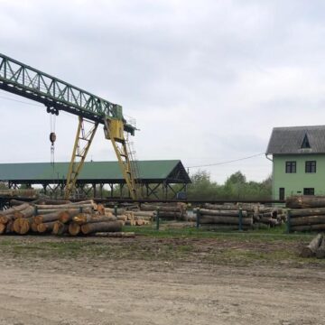Відпускав лісодеревину за хабарі: повідомлено про підозру керівнику складу лісгоспу на Прикарпатті