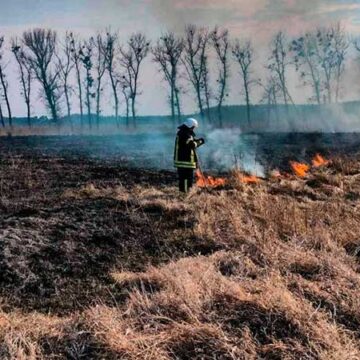 Жінка отримала опіки: рятувальники Прикарпаття ліквідували чотири пожежі сухостою (ФОТО)