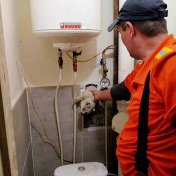 Франківські рятувальники звільнили кота з вентиляційної шахти у багатоповерхівці