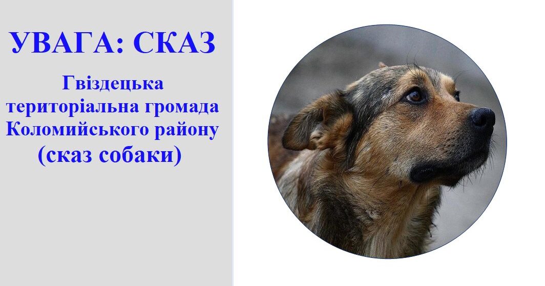 На Коломийщині собака заразився сказом після укусу лисиці