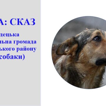На Коломийщині собака заразився сказом після укусу лисиці