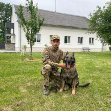 Службовий собака допоміг розшукати в лісі зниклого 86-річного дідуся