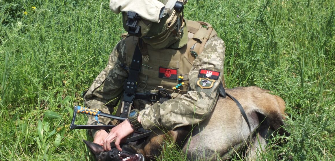 Без права на помилку: як будівельник з Коломийщини разом з чотирилапою помічницею розміновують зону бойових дій