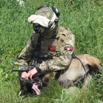 Без права на помилку: як будівельник з Коломийщини разом з чотирилапою помічницею розміновують зону бойових дій