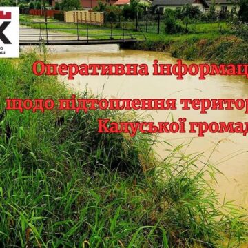 У Вістовій Калуської громади затопило насосну: без води залишилося 300 домогосподарств