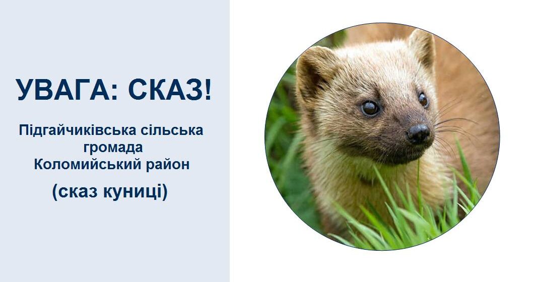 На Коломийщині скажена куниця покусала домашніх тварин
