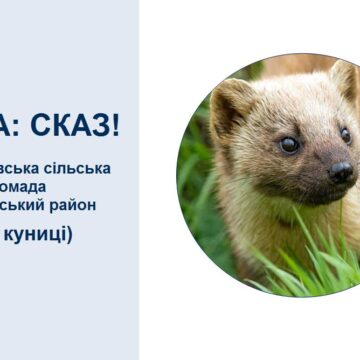 На Коломийщині скажена куниця покусала домашніх тварин