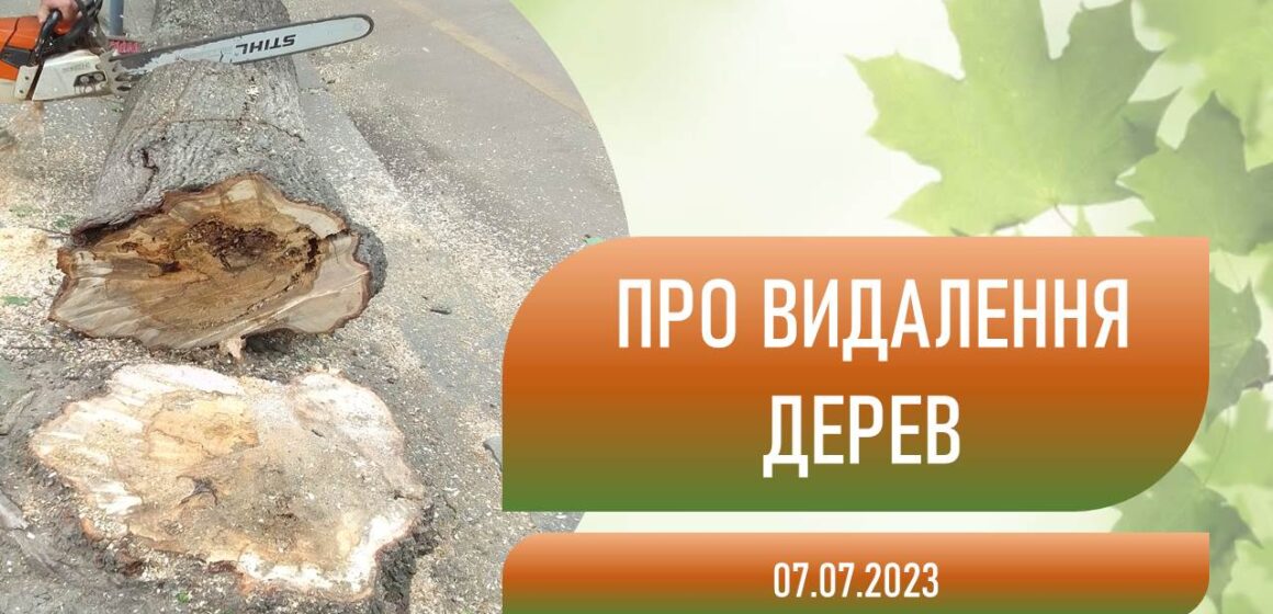 Франківцям роз’яснили процедуру зрізання дерев