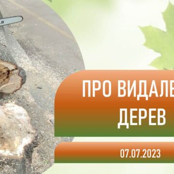 Франківцям роз’яснили процедуру зрізання дерев