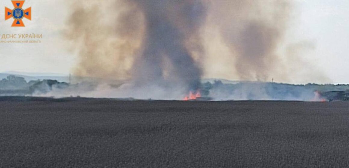 На Коломийщині на корені спалахнула пшениця (ФОТО)