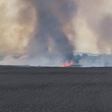 На Коломийщині на корені спалахнула пшениця (ФОТО)