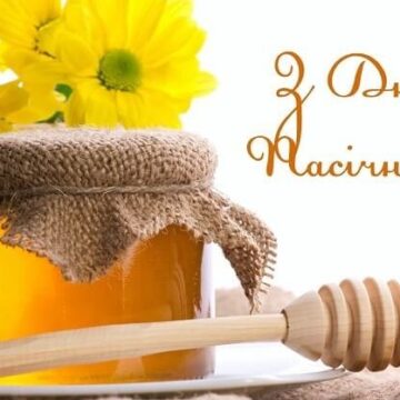 Не можна класти мед у гарячий чай: цікаві факти про бджіл та мед