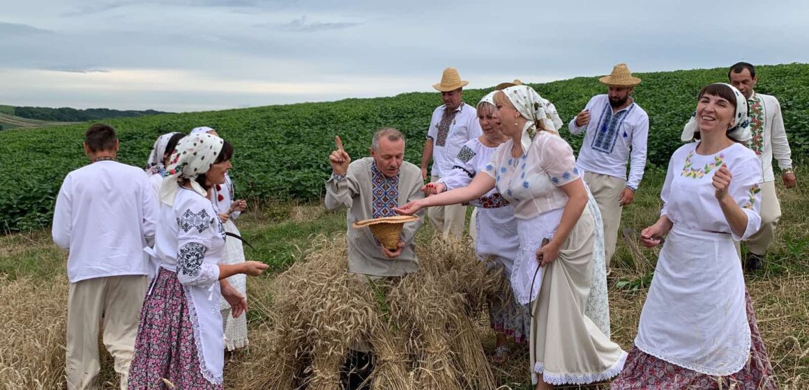Як робили діди-прадіди: на Рогатинщині вперше у полі відтворили обряд жнив