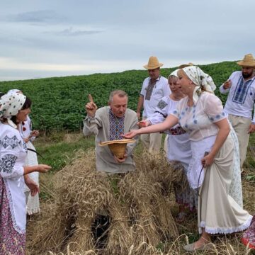 Як робили діди-прадіди: на Рогатинщині вперше у полі відтворили обряд жнив