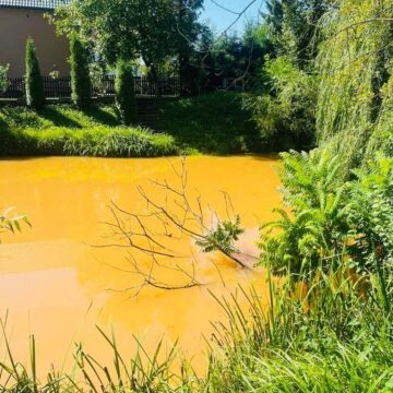 Поліція Прикарпаття розпочала кримінальне провадження за фактом забруднення земель на Коломийщині