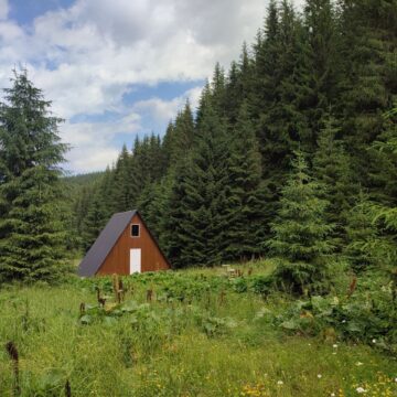 У мальовничому урочищі Мокринець на Прикарпатті з’явився туристичний притулок