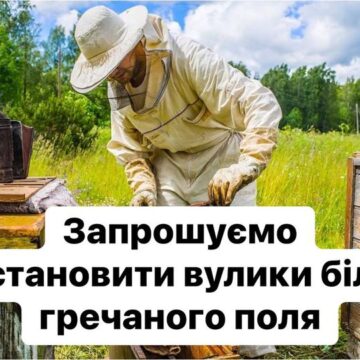 Пасічників запрошують встановлювати вулики біля гречаних полів у Радчі та Братківцях Івано-Франківської громади