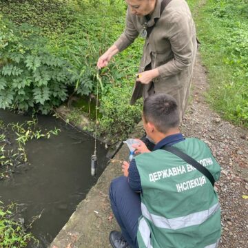 На Коломийщині виявлено забруднення водойми та загибель риби (ФОТО)