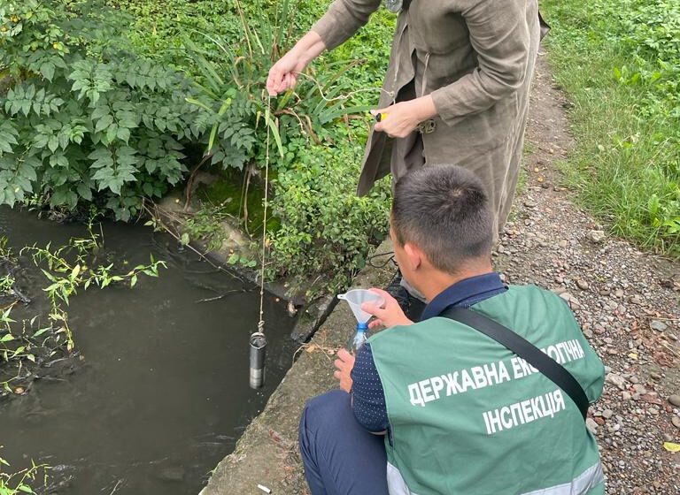 На Коломийщині виявлено забруднення водойми та загибель риби (ФОТО)