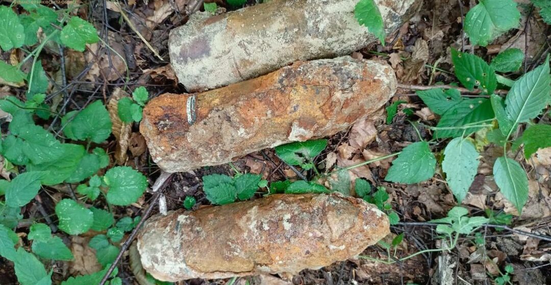 У селі на Косівщині знайшли три застарілі боєприпаси