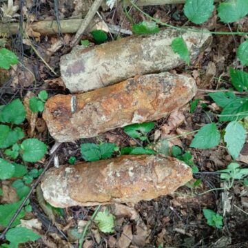 У селі на Косівщині знайшли три застарілі боєприпаси