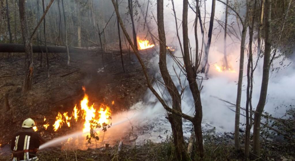 У Німеччині померли двоє прикарпатців, які постраждали внаслідок пожежі на Надвірнянщині