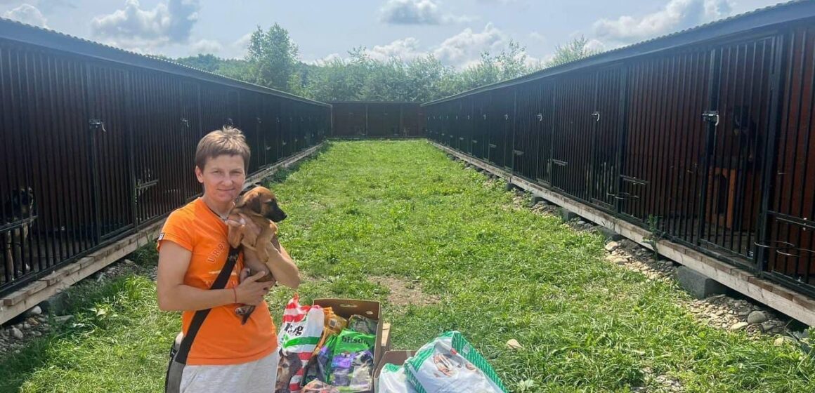 Під опікою БО “Дім Сірка” перебуває 340 безпритульних собак та ще близько сотні котів