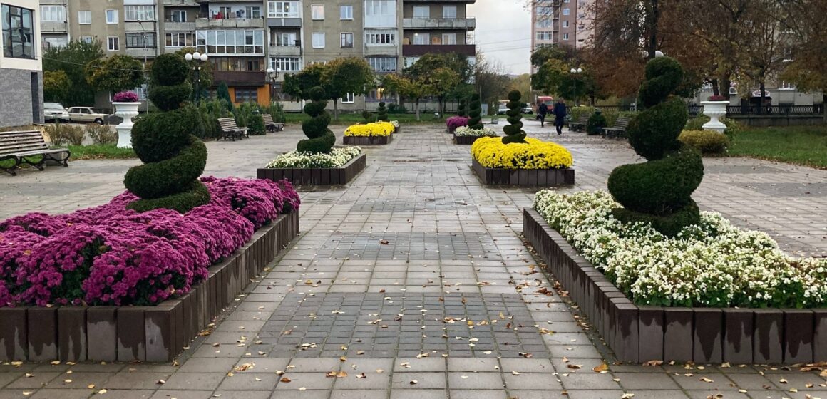 Пейзаж виглядає чудово: у Долині посаджені хризантеми кількох кольорів