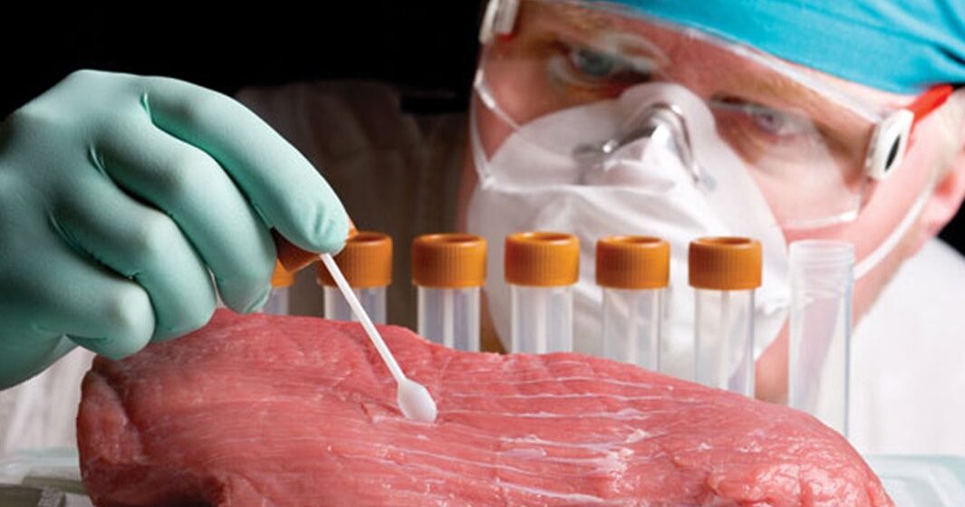 На Прикарпатті цьогоріч утилізували понад три тонни субпродуктів тварин та м’яса птиці