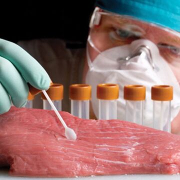 На Прикарпатті цьогоріч утилізували понад три тонни субпродуктів тварин та м’яса птиці