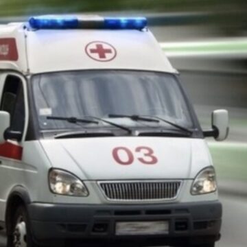У вересні бригади «екстренки» Прикарпаття здійснили чотири виїзди на отруєння грибами, два – щодо укусів змій