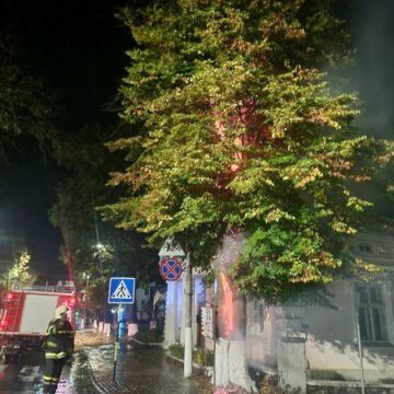 У Снятині, біля музею Марка Черемшини, невідомі підпалили дерево