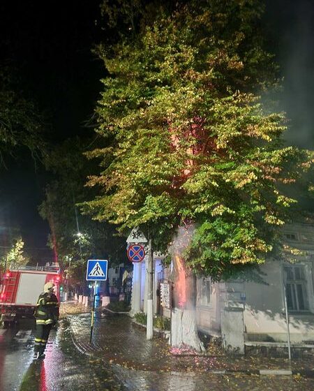 У Снятині, біля музею Марка Черемшини, невідомі підпалили дерево