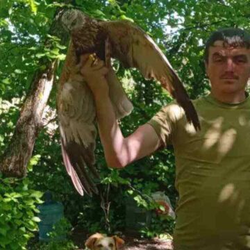 Верховина у жалобі: стало відомо про загибель на фронті Василя Томащука