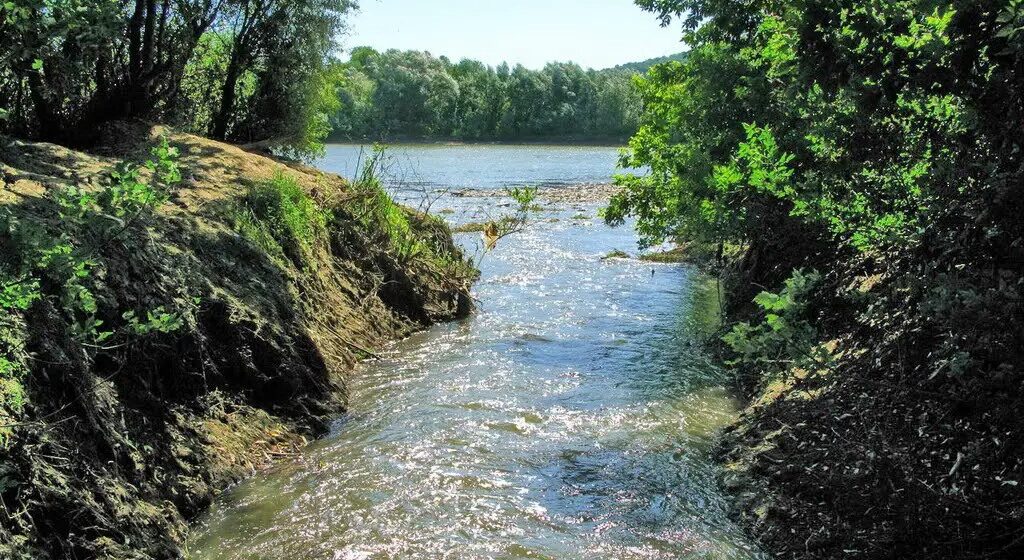 Легенда про річку Ямгорів, яка бере свій початок десь під Городенкою і впадає в Дністер Легенда про річку Ямгорів, яка бере свій початок десь під Городенкою і впадає в Дністер