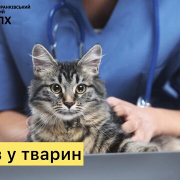 На Прикарпатті зареєстровано 17 випадків сказу серед тварин від початку року