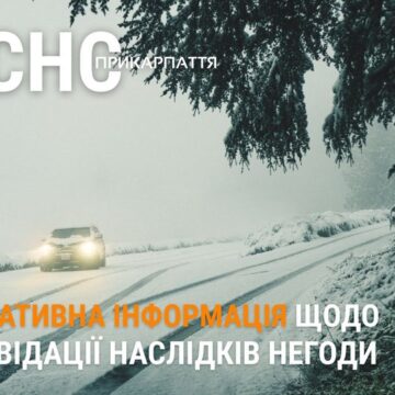 На Прикарпатті рятувальники ліквідовують наслідки негоди