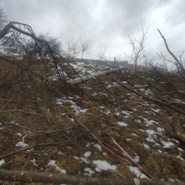 На Рогатинщині та Городенківщині вітер пошкодив електромережі