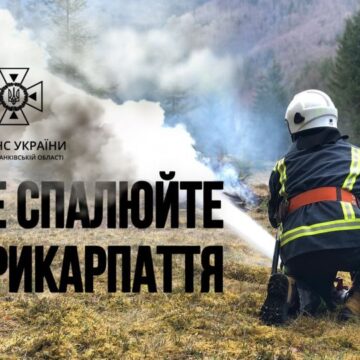 На Прикарпатті горить суха трава: впродовж трьох днів нового року рятувальники ліквідували 10 пожеж площею 3000 м.кв.