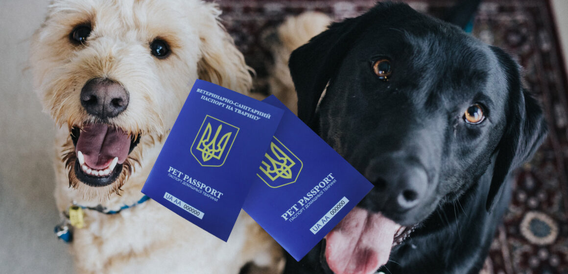 Власників чотирилапих закликають оформити своїм улюбленцям паспорти
