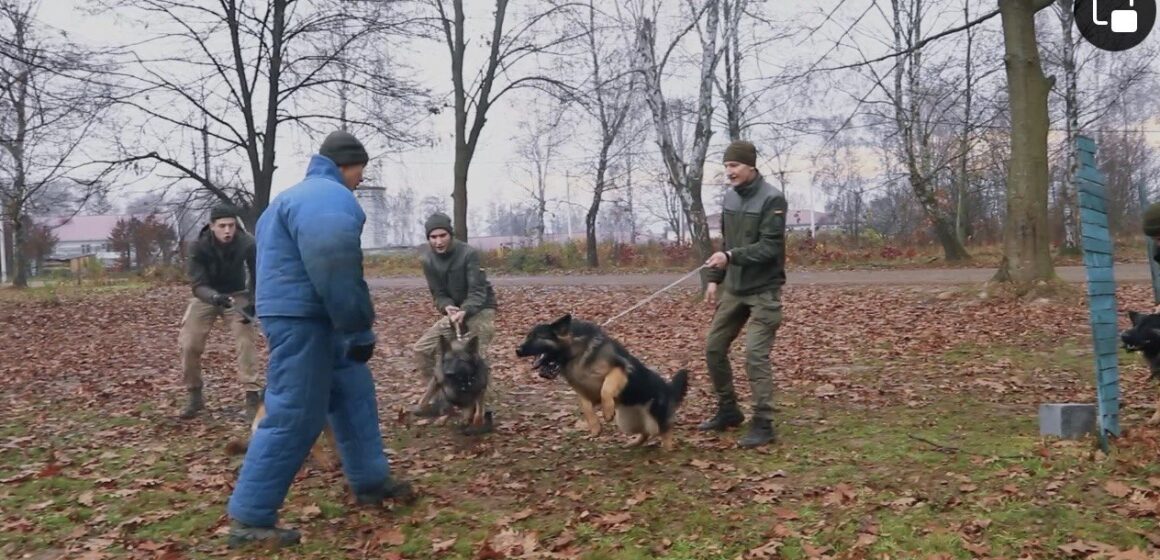 Франківські нацгвардійці-кінологи показали, як проходять щоденні тренування службових собак (ВІДЕО)
