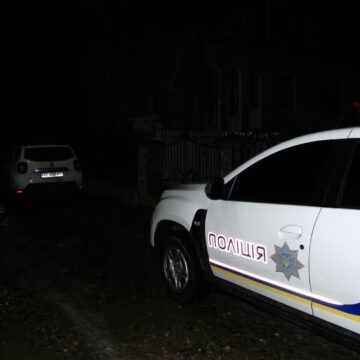 Незареєстровану зброю та боєприпаси вилучили поліцейські у кривдника на Прикарпатті