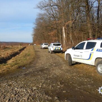 На Прикарпатті брат вбив сестру та закопав у лісі: поліцейські затримали зловмисника в Одесі