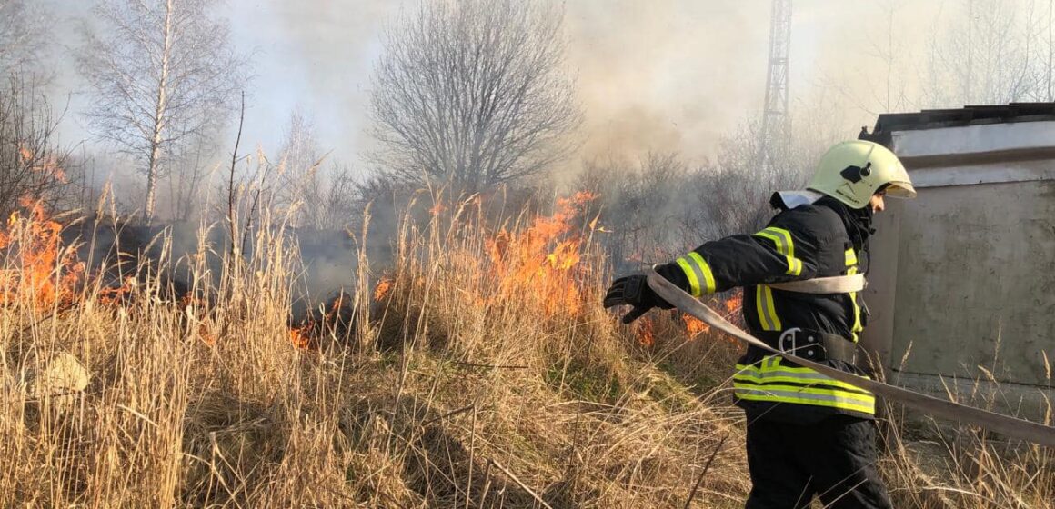 Рятувальники Надвірнянщини впіймали «на гарячому» палія сухої трави (ФОТО)
