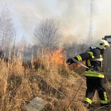 Рятувальники Надвірнянщини впіймали «на гарячому» палія сухої трави (ФОТО)