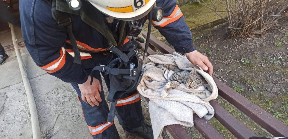 Калуські вогнеборці ліквідували пожежу в квартирі та врятували котика