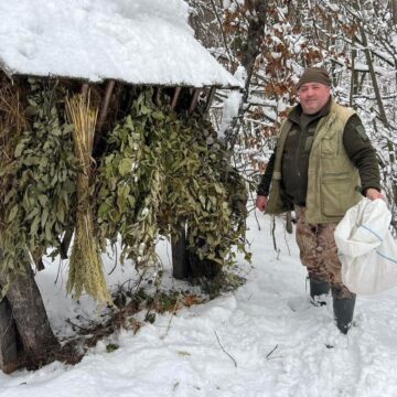 Як у Карпатських лісах дику звірину підгодовують…