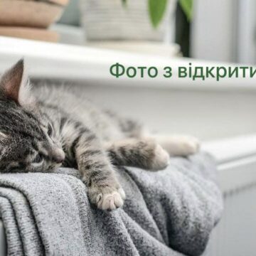 Ще 37 будинків колишнього СТЕКу зможуть перейти на індивідуальне опалення