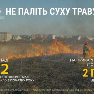 На Прикарпатті масово горить суха трава